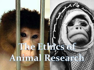 The Ethics of Animal Research