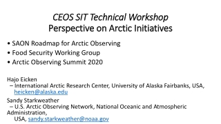 CEOS SIT Technical Workshop Perspective on Arctic Initiatives