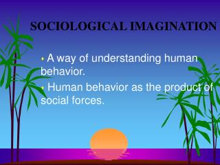 SOCIOLOGICAL IMAGINATION