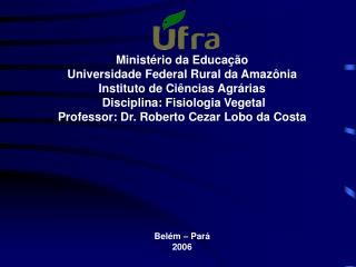 Ministério da Educação Universidade Federal Rural da Amazônia Instituto de Ciências Agrárias