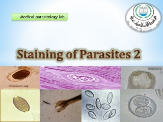 Staining of Parasites 2