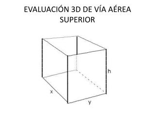 EVALUACIÓN 3D DE VÍA AÉREA SUPERIOR