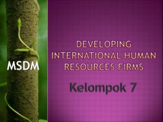 Developing International Human Resources Firms