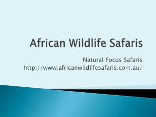 Botswana Safari - Africanwildlifesafaris.com.au