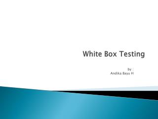 White Box Testing
