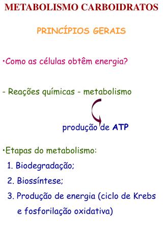 METABOLISMO CARBOIDRATOS