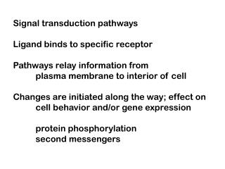 Signal transduction pathways Ligand binds to specific receptor Pathways relay information from 	plasma membrane to inter