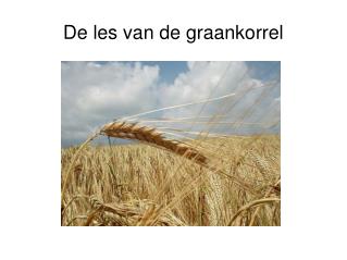 De les van de graankorrel