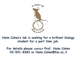 Haim Cohen’s lab is seeking for a brilliant biology student for a part time job.