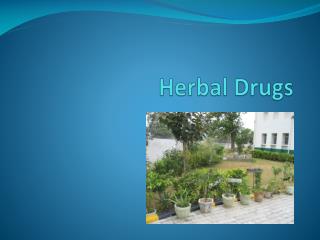 Herbal Drugs