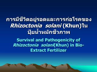 การมีชีวิตอยู่รอดและการก่อโรคของ Rhizoctonia solani ( Khun )ใน ปุ๋ยน้ำหมักชีวภาพ