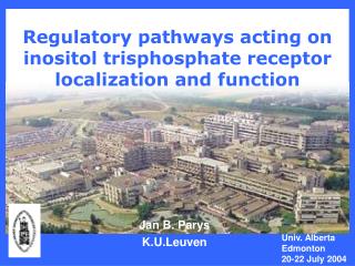 Regulatory pathways acting on inositol trisphosphate receptor localization and function