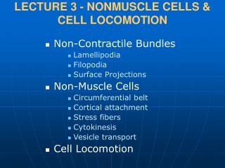 LECTURE 3 - NONMUSCLE CELLS & CELL LOCOMOTION