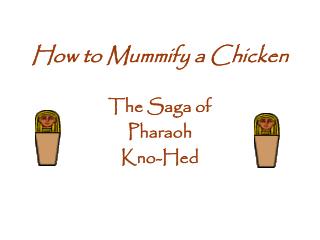 How to Mummify a Chicken