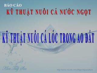 KỸ THUẬT NUÔI CÁ NƯỚC NGỌT