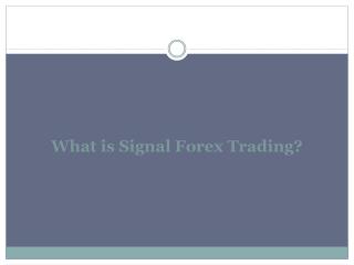 What is Signal Forex Trading?