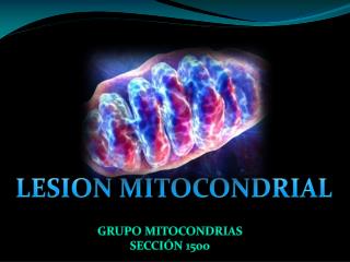 LESION MITOCONDRIAL