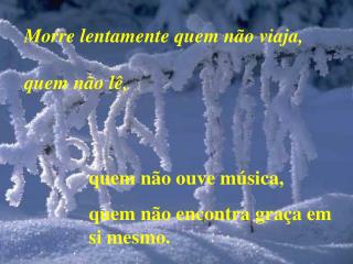 Morre lentamente quem não viaja, quem não lê,