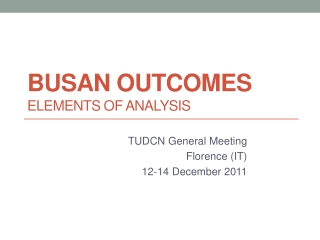 Busan Outcomes Elements of analysis