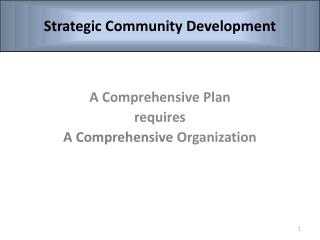 A Comprehensive Plan requires A Comprehensive Organization
