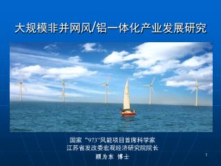 国家“ 973” 风能项目首席科学家 江苏省发改委宏观经济研究院院长 顾为东 博士