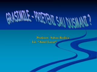 GRASIMILE – PRIETENI SAU DUSMANI ?