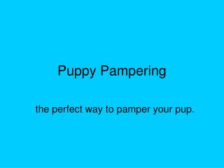 Puppy Pampering