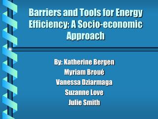 Barriers and Tools for Energy Efficiency: A Socio-economic Approach