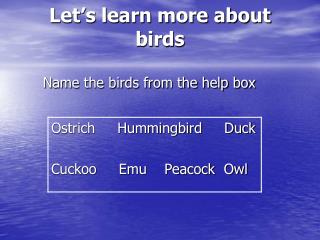 Let’s learn more about birds