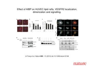 Lh Fang et al. Nature 000 , 1-5 (2013) doi:10.1038/nature12166