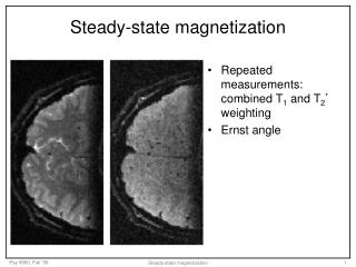 Steady-state magnetization