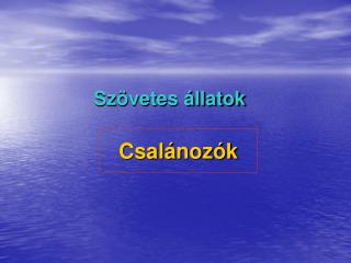 Csalánozók