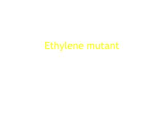 Ethylene mutant