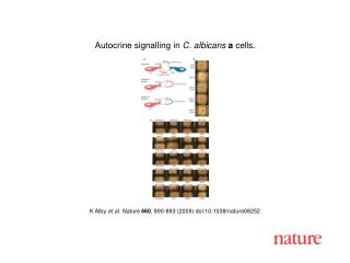 K Alby et al. Nature 460 , 890 - 893 (2009) doi:10.1038/nature08 252