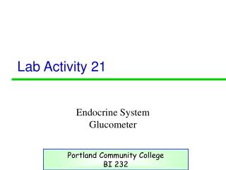 Lab Activity 21