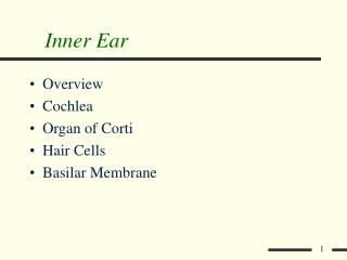Inner Ear
