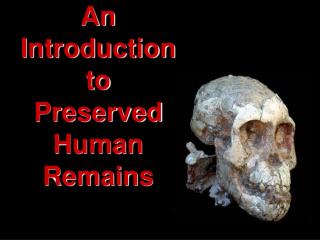 An Introduction to Preserved Human Remains