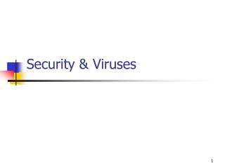 Security & Viruses