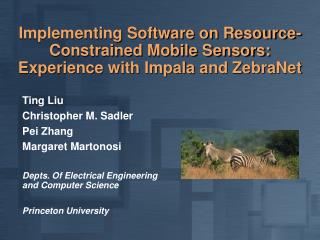 Resource-Constrained Mobile Sensors
