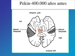 Pekin-400.000 años antes