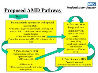 Proposed AMD Pathway