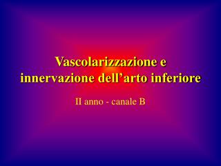 Vascolarizzazione e innervazione dell’arto inferiore