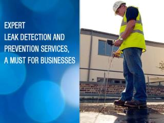 Expert leak detection and prevention services in UK