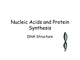 Nucleic Acids and Protein Synthesis