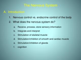 The Nervous System