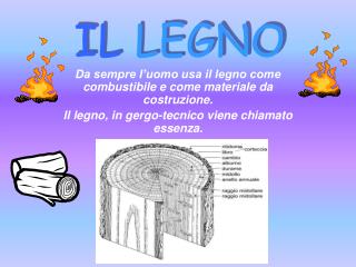 IL LEGNO