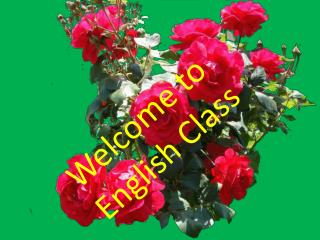 Welcome to English Class
