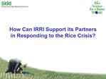 How Can IRRI Support its Partners in Responding to the Rice Crisis