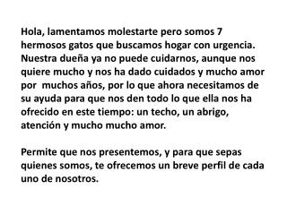 Hola, lamentamos molestarte pero somos 7 hermosos gatos que buscamos hogar con urgencia.