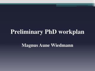 Preliminary PhD workplan Magnus Aune Wiedmann